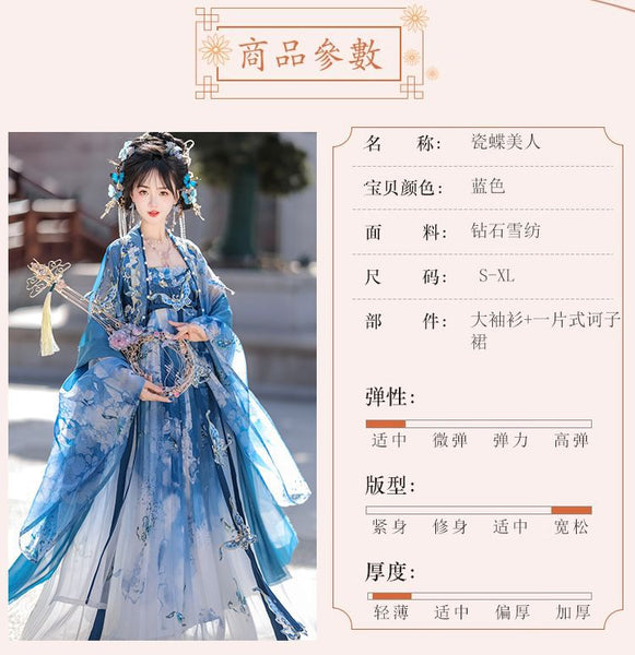 Gorgeous Chinese Traditional Blue Butterfly Print Embroidery Stage Performance Wear Women Dress