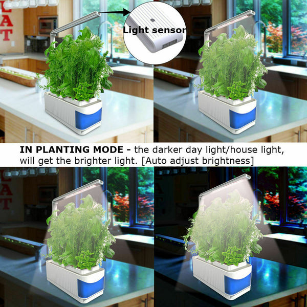 Indoor Desk Lamp Herb Hydroponics Grow Light Plants Smart Garden Kit LED Plant