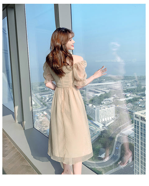 Summer Sweet Women High Tea Break Fairy Short Sleeve Mesh A Line Dress