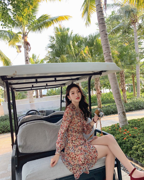 Elegant Long Sleeved Floral lotus leaf Collar V Neck Printed A Line Women Dress