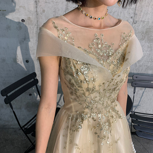 Plus Size Annual Meeting Fairy Temperament Banquet Evening Prom Party Long Dress