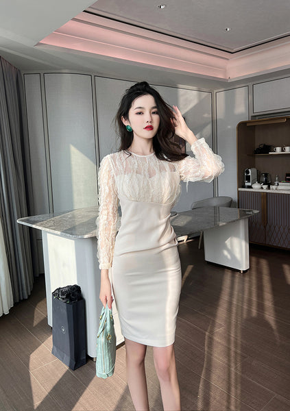 Spring Temperament Round Neck Lace Mesh Stitching Long Sleeves Hip Wrap Dress