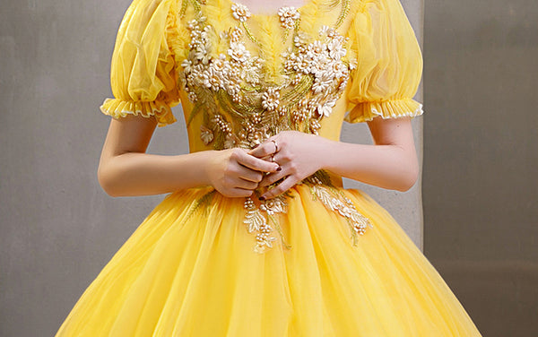 Plus Size Yellow Evening Dress Elegant Banquet Half Sleeve Embroidered Puffy A line Princess Gauze Gown Dress