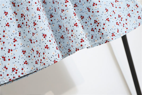 Spring Summer Vintage Women Fashion Floral Printed High Waist Long Pleated Maxi Girly Blue Skirt Skirts Dress