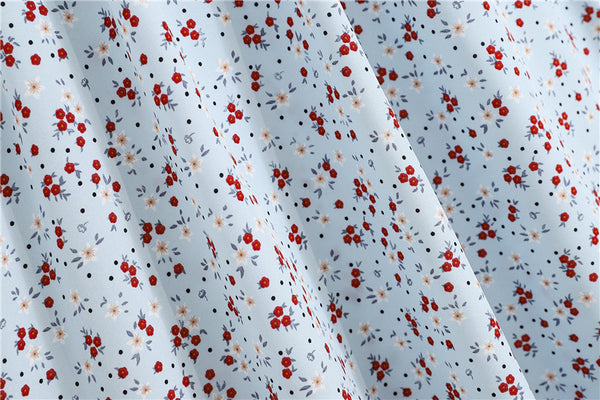 Spring Summer Vintage Women Fashion Floral Printed High Waist Long Pleated Maxi Girly Blue Skirt Skirts Dress