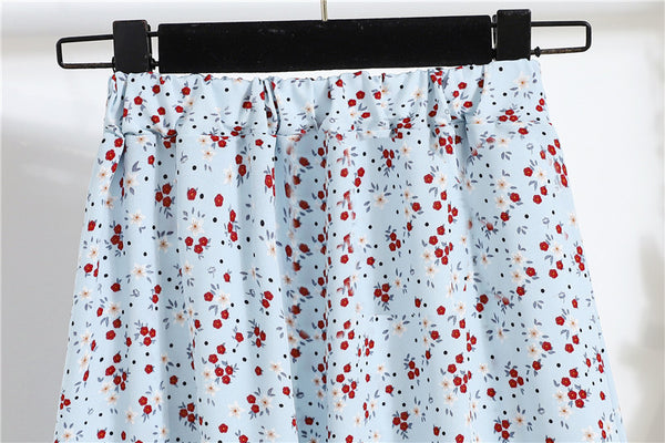 Spring Summer Vintage Women Fashion Floral Printed High Waist Long Pleated Maxi Girly Blue Skirt Skirts Dress