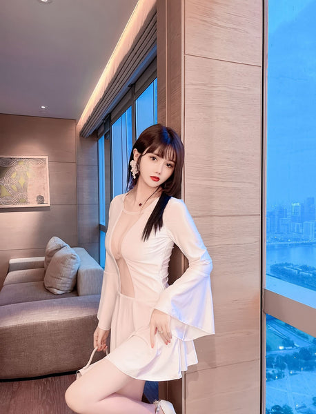 Gorgeous Mesh Front Open See Through Stitching Round Neck Long Flare Sleeves Pleated Dress