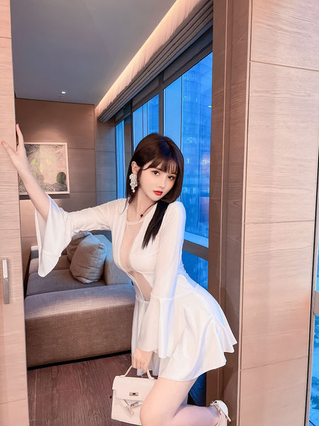 Gorgeous Mesh Front Open See Through Stitching Round Neck Long Flare Sleeves Pleated Dress