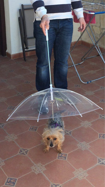 Pet Dog Plastic Umbrella Raincoat for Dog Pet Raincoats Rain Weather Protective