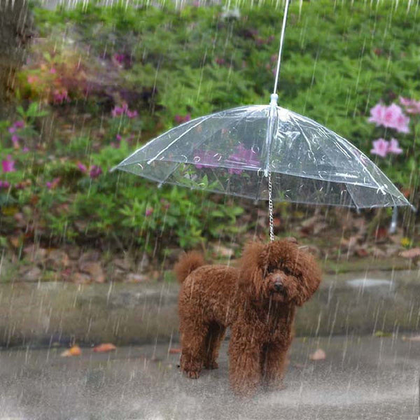 Pet Dog Plastic Umbrella Raincoat for Dog Pet Raincoats Rain Weather Protective