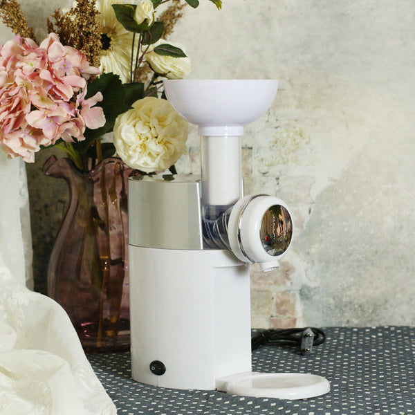 Fruit Machine Frozen Dessert Automatic Healthy Ice Cream Maker Milkshake Yogurt