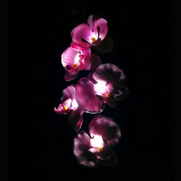 2X Solar Fairy Garden LED Lights Orchid Flowers Stake Lamp Yard Outdoor Patio