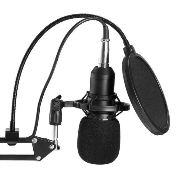 Studio Recording Condenser Microphone with Mic Suspension Arm Stand Shock Mount