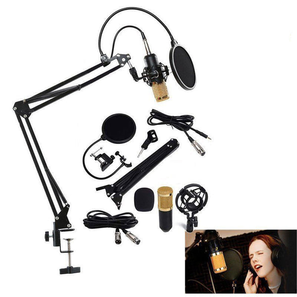 Studio Recording Condenser Microphone with Mic Suspension Arm Stand Shock Mount