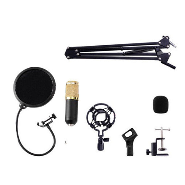 Studio Recording Condenser Microphone with Mic Suspension Arm Stand Shock Mount