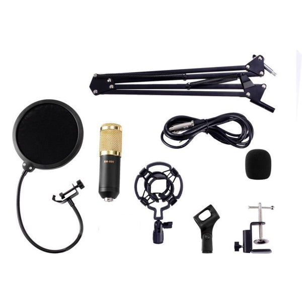 Studio Recording Condenser Microphone with Mic Suspension Arm Stand Shock Mount