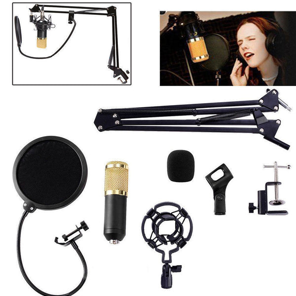 Studio Recording Condenser Microphone with Mic Suspension Arm Stand Shock Mount