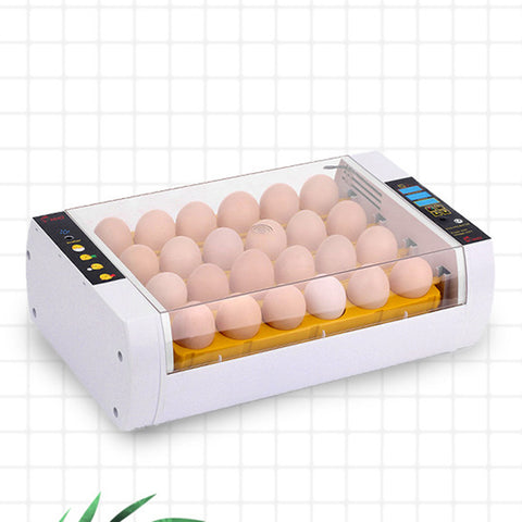 Automatic 24 Eggs Egg Hatcher Hatching Incubator Turning Chicken Heat Control
