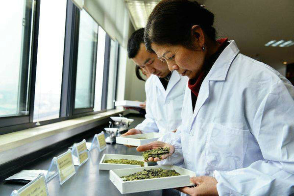 15 Flavors Natural Chinese Tea Oolong Black Green Milk Oolong Ginseng Flower Tea