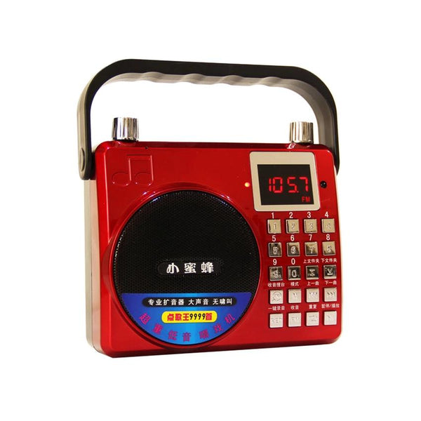 Portable Voice Amplifier w/ Subwoofer Loud sound Voice recorder FM Radio Microphone SD TF Card USB