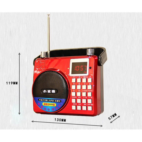 Portable Voice Amplifier w/ Subwoofer Loud sound Voice recorder FM Radio Microphone SD TF Card USB