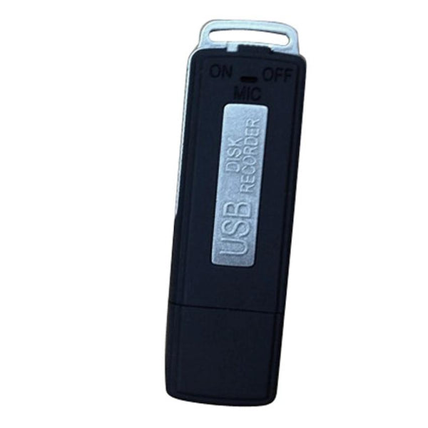 Hot Sale Simple U-Disk U Disk Digital Audio Voice Recorder Pen USB Flash Drive