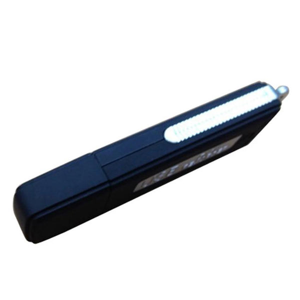 Hot Sale Simple U-Disk U Disk Digital Audio Voice Recorder Pen USB Flash Drive