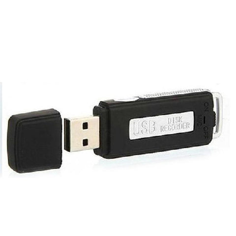Hot Sale Simple U-Disk U Disk Digital Audio Voice Recorder Pen USB Flash Drive